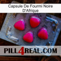 Africa Black Ant Capsule 13